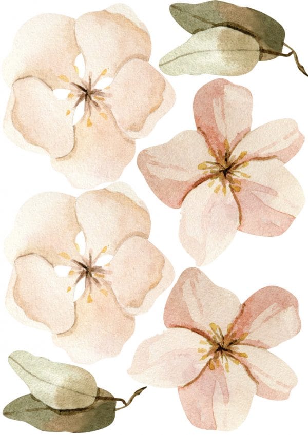 Objednajte tlač online – rýchlo a bez starostí. Doručenie po celom Slovensku. Letáky, vizitky, bannery, billboardy a viac. - Elegantné kvetinové nálepky pre útulný domov. Kvalitná tlač, jednoduchá aplikácia.