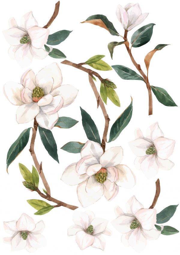 Objednajte tlač online – rýchlo a bez starostí. Doručenie po celom Slovensku. Letáky, vizitky, bannery, billboardy a viac. - Elegantné kvetinové nálepky pre útulný domov. Kvalitná tlač, jednoduchá aplikácia.