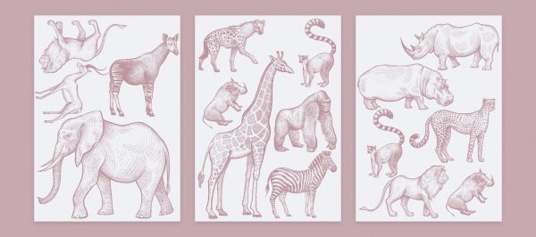 Objednajte tlač online – rýchlo a bez starostí. Doručenie po celom Slovensku. Letáky, vizitky, bannery, billboardy a viac. - Hravé zvieratkové a dinosaurové motívy pre deti – farebné a veselé nálepky na stenu.