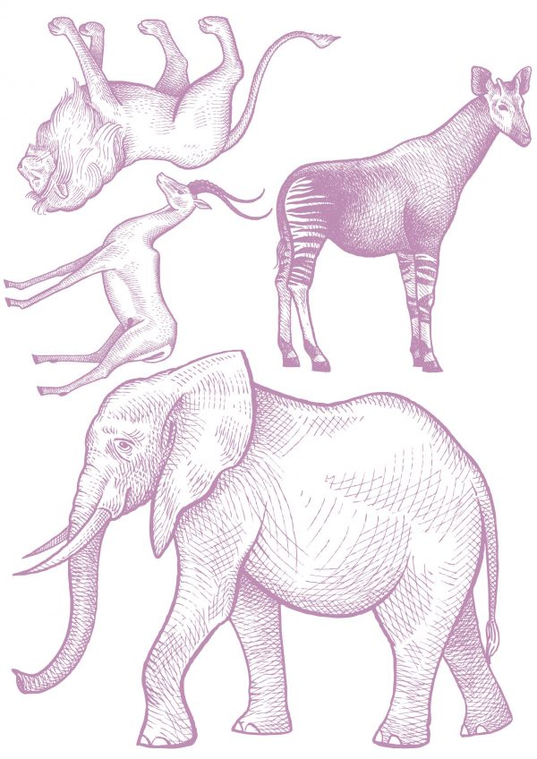 Objednajte tlač online – rýchlo a bez starostí. Doručenie po celom Slovensku. Letáky, vizitky, bannery, billboardy a viac. - Hravé zvieratkové a dinosaurové motívy pre deti – farebné a veselé nálepky na stenu.