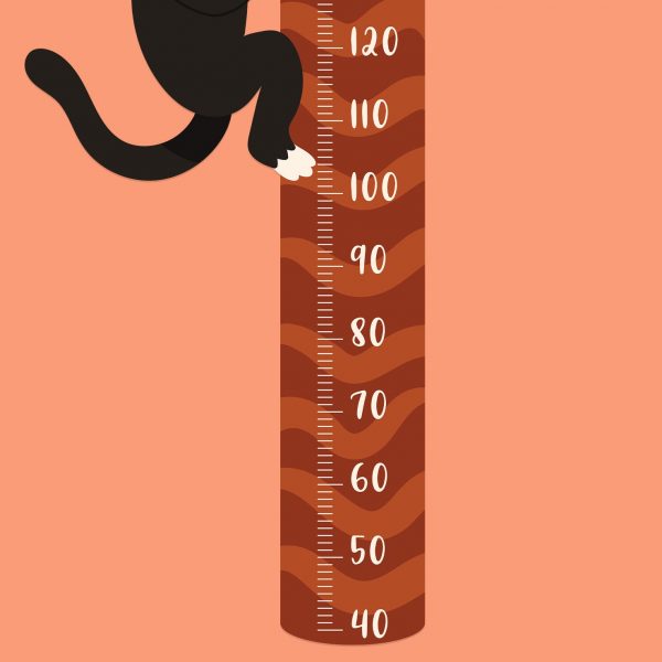 Objednajte tlač online – rýchlo a bez starostí. Doručenie po celom Slovensku. Letáky, vizitky, bannery, billboardy a viac. - Štýlové samolepiace nálepky na stenu – jednoduchá aplikácia, kvalitná tlač a dlhá životnosť.