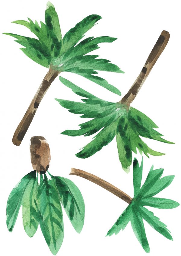 Objednajte tlač online – rýchlo a bez starostí. Doručenie po celom Slovensku. Letáky, vizitky, bannery, billboardy a viac. - Štýlové samolepiace nálepky na stenu – jednoduchá aplikácia, kvalitná tlač a dlhá životnosť.