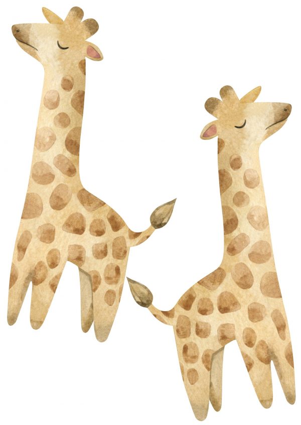 Samolepky na stenu Safari zvieratá. Divoké zvieratá – Hravé nálepky na stenu pre deti 5 Objednajte tlač online – rýchlo a bez starostí. Doručenie po celom Slovensku. Letáky, vizitky, bannery, billboardy a viac. - Hravé zvieratkové a dinosaurové motívy pre deti – farebné a veselé nálepky na stenu.