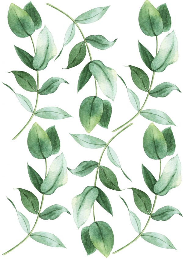 Kvetinové nálepky na stenu. Zelené listy – Kvetinové nálepky na stenu do interiéru 3 Objednajte tlač online – rýchlo a bez starostí. Doručenie po celom Slovensku. Letáky, vizitky, bannery, billboardy a viac. - Elegantné kvetinové nálepky pre útulný domov. Kvalitná tlač, jednoduchá aplikácia.