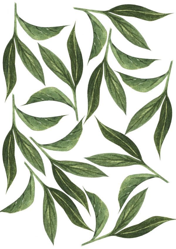 Kvetinové nálepky na stenu. Zelené listy – Kvetinové nálepky na stenu do interiéru 4 Objednajte tlač online – rýchlo a bez starostí. Doručenie po celom Slovensku. Letáky, vizitky, bannery, billboardy a viac. - Elegantné kvetinové nálepky pre útulný domov. Kvalitná tlač, jednoduchá aplikácia.