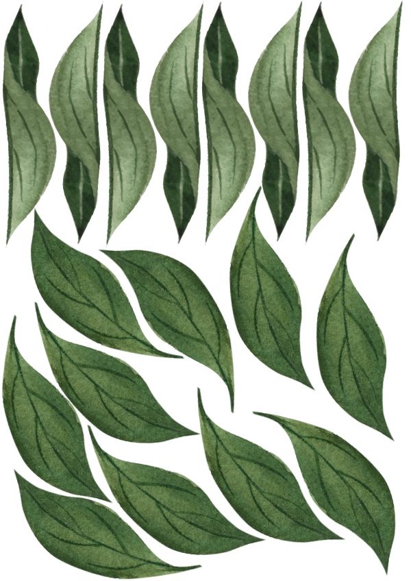 Kvetinové nálepky na stenu. Zelené listy – Kvetinové nálepky na stenu do interiéru 5 Objednajte tlač online – rýchlo a bez starostí. Doručenie po celom Slovensku. Letáky, vizitky, bannery, billboardy a viac. - Elegantné kvetinové nálepky pre útulný domov. Kvalitná tlač, jednoduchá aplikácia.