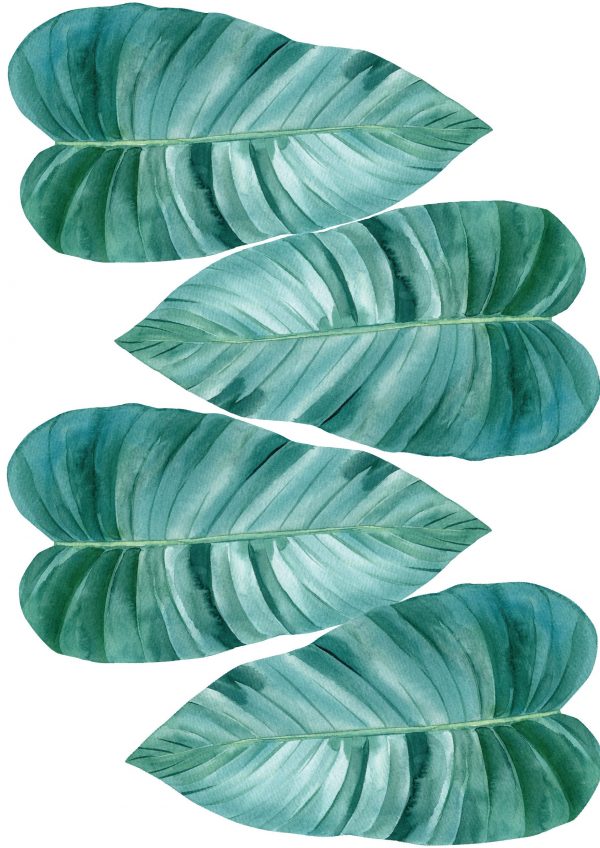 Kvetinové nálepky na stenu. Tropické listy – Kvetinové nálepky na stenu do interiéru 4 Objednajte tlač online – rýchlo a bez starostí. Doručenie po celom Slovensku. Letáky, vizitky, bannery, billboardy a viac. - Elegantné kvetinové nálepky pre útulný domov. Kvalitná tlač, jednoduchá aplikácia.