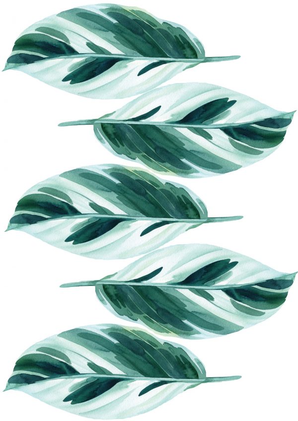 Kvetinové nálepky na stenu. Tropické listy – Kvetinové nálepky na stenu do interiéru 5 Objednajte tlač online – rýchlo a bez starostí. Doručenie po celom Slovensku. Letáky, vizitky, bannery, billboardy a viac. - Elegantné kvetinové nálepky pre útulný domov. Kvalitná tlač, jednoduchá aplikácia.