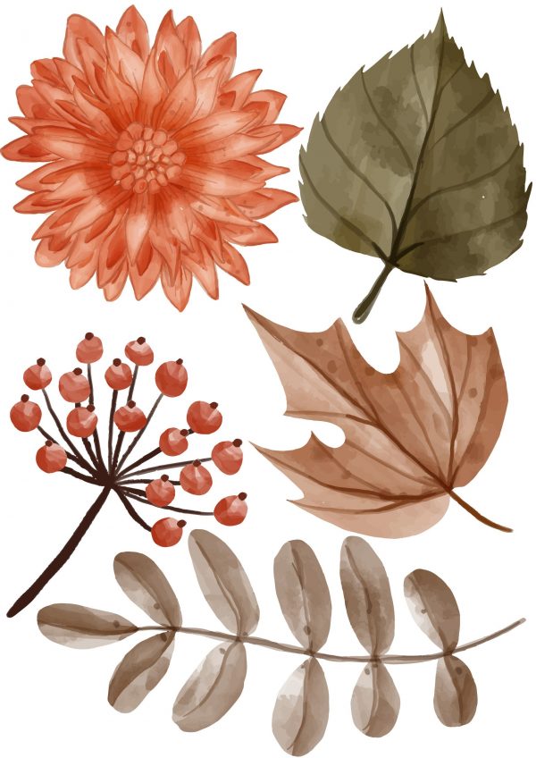 Kvetinové nálepky na stenu. Lesné kvetinové – Kvetinové nálepky na stenu do interiéru 4 Objednajte tlač online – rýchlo a bez starostí. Doručenie po celom Slovensku. Letáky, vizitky, bannery, billboardy a viac. - Elegantné kvetinové nálepky pre útulný domov. Kvalitná tlač, jednoduchá aplikácia.