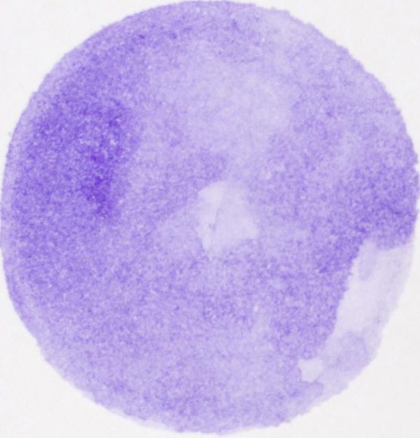 Samolepky na stenu bodky. Fialové bodky (2) – Samolepiace dekorácie na stenu 4 Objednajte tlač online – rýchlo a bez starostí. Doručenie po celom Slovensku. Letáky, vizitky, bannery, billboardy a viac. - Štýlové samolepiace nálepky na stenu – jednoduchá aplikácia, kvalitná tlač a dlhá životnosť.