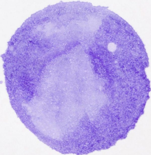 Samolepky na stenu bodky. Fialové bodky (2) – Samolepiace dekorácie na stenu 7 Objednajte tlač online – rýchlo a bez starostí. Doručenie po celom Slovensku. Letáky, vizitky, bannery, billboardy a viac. - Štýlové samolepiace nálepky na stenu – jednoduchá aplikácia, kvalitná tlač a dlhá životnosť.