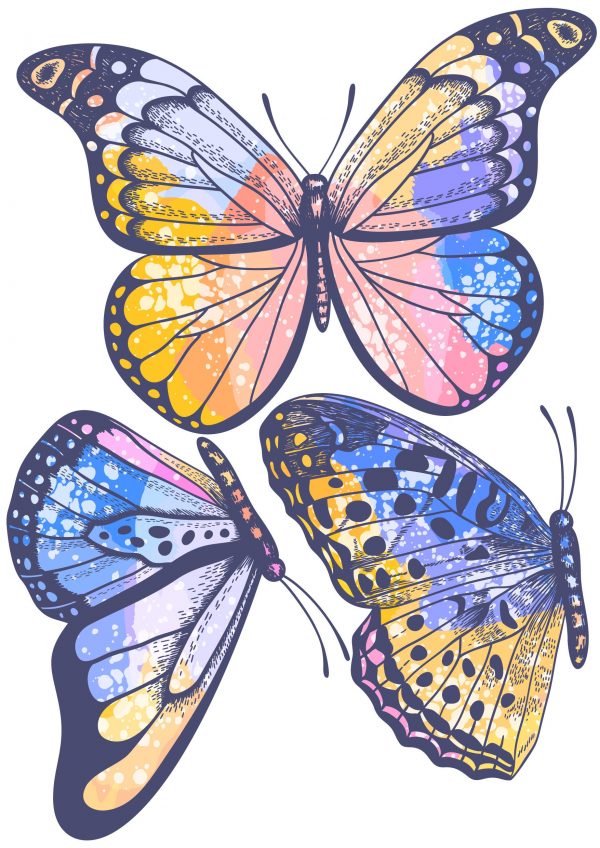 Objednajte tlač online – rýchlo a bez starostí. Doručenie po celom Slovensku. Letáky, vizitky, bannery, billboardy a viac. - Štýlové samolepiace nálepky na stenu – jednoduchá aplikácia, kvalitná tlač a dlhá životnosť.