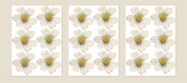 Kvetinové samolepky na stenu. Farebné kvetinové (10) – Kvetinové nálepky na stenu do interiéru 4 Objednajte tlač online – rýchlo a bez starostí. Doručenie po celom Slovensku. Letáky, vizitky, bannery, billboardy a viac. - Elegantné kvetinové nálepky pre útulný domov. Kvalitná tlač, jednoduchá aplikácia.