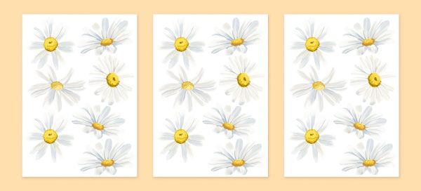 Kvetinové nálepky na stenu. So sedmokráskami – Kvetinové nálepky na stenu do interiéru 4 Objednajte tlač online – rýchlo a bez starostí. Doručenie po celom Slovensku. Letáky, vizitky, bannery, billboardy a viac. - Elegantné kvetinové nálepky pre útulný domov. Kvalitná tlač, jednoduchá aplikácia.