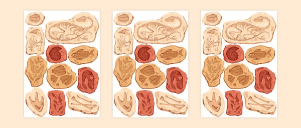 Prehistorické nálepky na stenu. Skameneliny dinosaurov – Hravé nálepky na stenu pre deti 4 Objednajte tlač online – rýchlo a bez starostí. Doručenie po celom Slovensku. Letáky, vizitky, bannery, billboardy a viac. - Hravé zvieratkové a dinosaurové motívy pre deti – farebné a veselé nálepky na stenu.