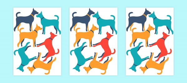 Samolepky na stenu Zvieratá. Nástenné umenie v detskej izbe – Hravé nálepky na stenu pre deti 4 Objednajte tlač online – rýchlo a bez starostí. Doručenie po celom Slovensku. Letáky, vizitky, bannery, billboardy a viac. - Hravé zvieratkové a dinosaurové motívy pre deti – farebné a veselé nálepky na stenu.