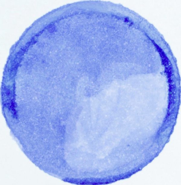 Objednajte tlač online – rýchlo a bez starostí. Doručenie po celom Slovensku. Letáky, vizitky, bannery, billboardy a viac. - Štýlové samolepiace nálepky na stenu – jednoduchá aplikácia, kvalitná tlač a dlhá životnosť.