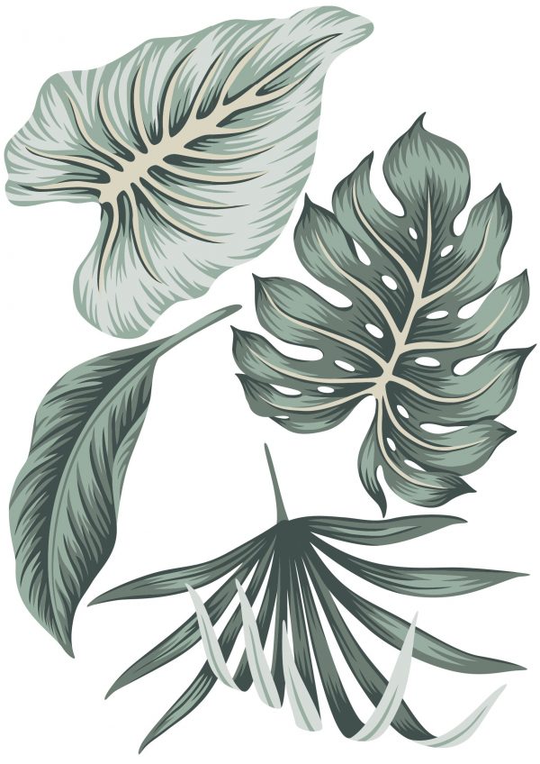 Kvetinové nálepky na stenu. Tropické listy (2) – Kvetinové nálepky na stenu do interiéru 4 Objednajte tlač online – rýchlo a bez starostí. Doručenie po celom Slovensku. Letáky, vizitky, bannery, billboardy a viac. - Elegantné kvetinové nálepky pre útulný domov. Kvalitná tlač, jednoduchá aplikácia.