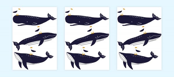 Veľryby nálepky na stenu. Zábavné veľryby – Samolepiace dekorácie na stenu 4 Objednajte tlač online – rýchlo a bez starostí. Doručenie po celom Slovensku. Letáky, vizitky, bannery, billboardy a viac. - Štýlové samolepiace nálepky na stenu – jednoduchá aplikácia, kvalitná tlač a dlhá životnosť.