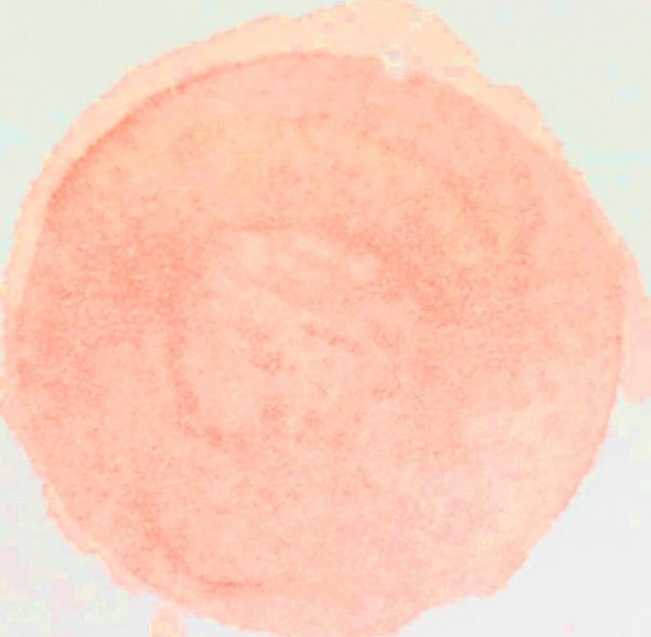 Bodky na stenu. Akvarelové bodky, oranžove bodky na stenu – Samolepiace dekorácie na stenu 6 Objednajte tlač online – rýchlo a bez starostí. Doručenie po celom Slovensku. Letáky, vizitky, bannery, billboardy a viac. - Štýlové samolepiace nálepky na stenu – jednoduchá aplikácia, kvalitná tlač a dlhá životnosť.