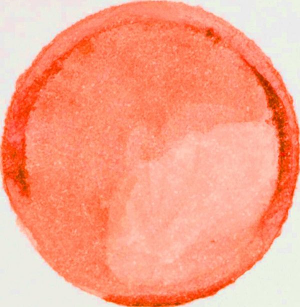 Bodky na stenu. Akvarelové bodky, oranžove bodky na stenu – Samolepiace dekorácie na stenu 8 Objednajte tlač online – rýchlo a bez starostí. Doručenie po celom Slovensku. Letáky, vizitky, bannery, billboardy a viac. - Štýlové samolepiace nálepky na stenu – jednoduchá aplikácia, kvalitná tlač a dlhá životnosť.