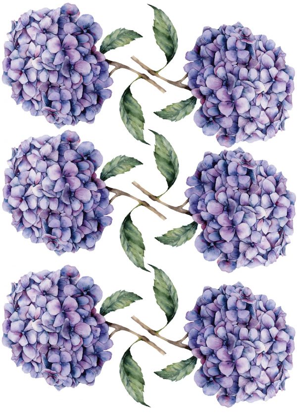 Kvetinové nálepky na stenu. Zelené listy (3) – Kvetinové nálepky na stenu do interiéru 3 Objednajte tlač online – rýchlo a bez starostí. Doručenie po celom Slovensku. Letáky, vizitky, bannery, billboardy a viac. - Elegantné kvetinové nálepky pre útulný domov. Kvalitná tlač, jednoduchá aplikácia.