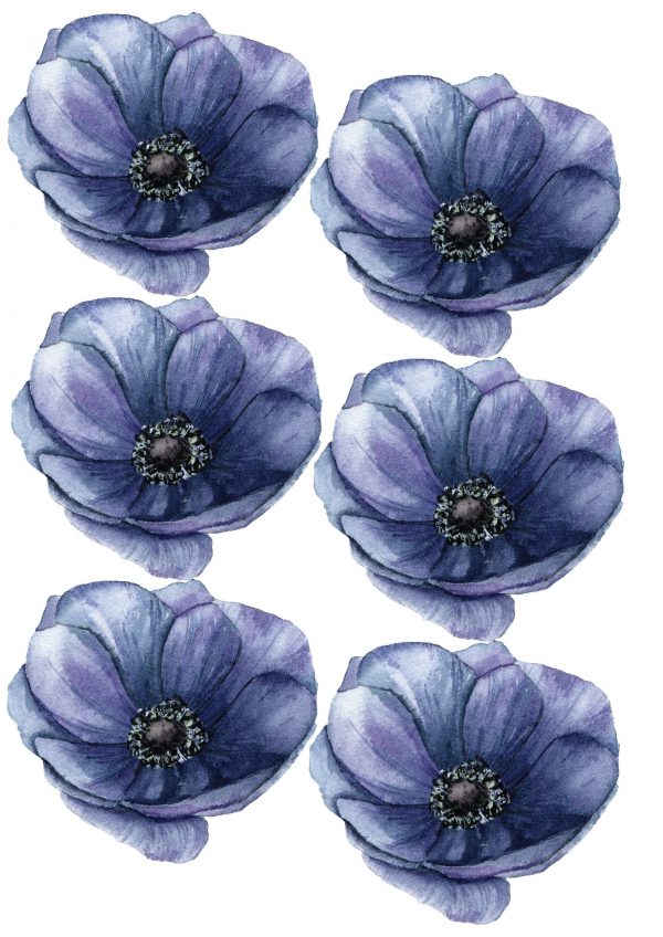 Kvetinové nálepky na stenu. Zelené listy (3) – Kvetinové nálepky na stenu do interiéru 4 Objednajte tlač online – rýchlo a bez starostí. Doručenie po celom Slovensku. Letáky, vizitky, bannery, billboardy a viac. - Elegantné kvetinové nálepky pre útulný domov. Kvalitná tlač, jednoduchá aplikácia.