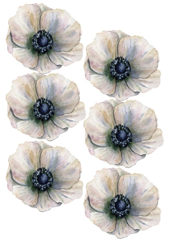 Kvetinové nálepky na stenu. Zelené listy (3) – Kvetinové nálepky na stenu do interiéru 5 Objednajte tlač online – rýchlo a bez starostí. Doručenie po celom Slovensku. Letáky, vizitky, bannery, billboardy a viac. - Elegantné kvetinové nálepky pre útulný domov. Kvalitná tlač, jednoduchá aplikácia.