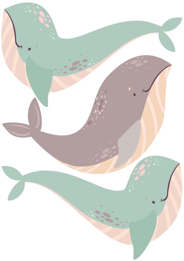 Veľryby nálepky na stenu. Zábavné veľryby (2) – Samolepiace dekorácie na stenu 4 Objednajte tlač online – rýchlo a bez starostí. Doručenie po celom Slovensku. Letáky, vizitky, bannery, billboardy a viac. - Štýlové samolepiace nálepky na stenu – jednoduchá aplikácia, kvalitná tlač a dlhá životnosť.