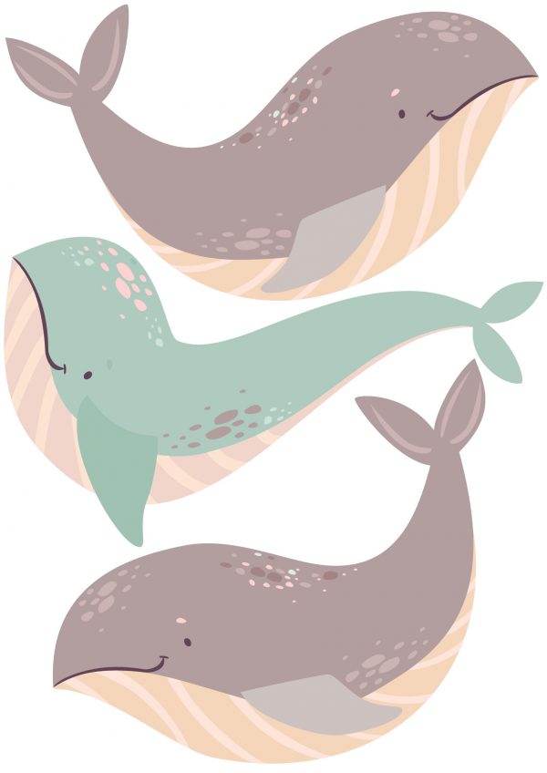 Veľryby nálepky na stenu. Zábavné veľryby (2) – Samolepiace dekorácie na stenu 5 Objednajte tlač online – rýchlo a bez starostí. Doručenie po celom Slovensku. Letáky, vizitky, bannery, billboardy a viac. - Štýlové samolepiace nálepky na stenu – jednoduchá aplikácia, kvalitná tlač a dlhá životnosť.