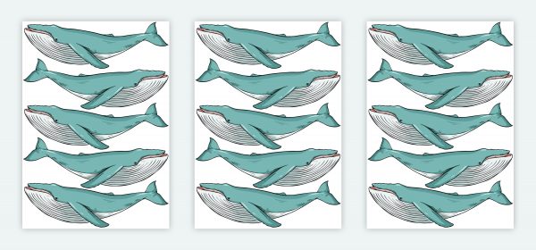 Veľryby nálepky na stenu. Zábavné veľryby (3) – Samolepiace dekorácie na stenu 4 Objednajte tlač online – rýchlo a bez starostí. Doručenie po celom Slovensku. Letáky, vizitky, bannery, billboardy a viac. - Štýlové samolepiace nálepky na stenu – jednoduchá aplikácia, kvalitná tlač a dlhá životnosť.