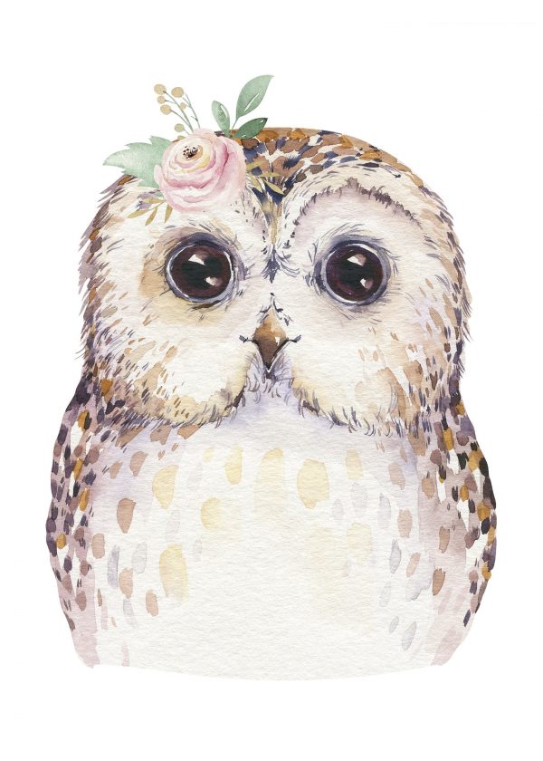 Objednajte tlač online – rýchlo a bez starostí. Doručenie po celom Slovensku. Letáky, vizitky, bannery, billboardy a viac. - Hravé zvieratkové a dinosaurové motívy pre deti – farebné a veselé nálepky na stenu.