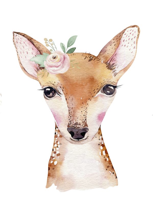 Objednajte tlač online – rýchlo a bez starostí. Doručenie po celom Slovensku. Letáky, vizitky, bannery, billboardy a viac. - Hravé zvieratkové a dinosaurové motívy pre deti – farebné a veselé nálepky na stenu.