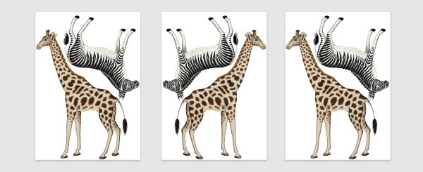 Nálepky na stenu Safari zvieratá. Divoké zvieratá (10) – Hravé nálepky na stenu pre deti 4 Objednajte tlač online – rýchlo a bez starostí. Doručenie po celom Slovensku. Letáky, vizitky, bannery, billboardy a viac. - Hravé zvieratkové a dinosaurové motívy pre deti – farebné a veselé nálepky na stenu.